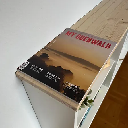 Liebignest Apartament
